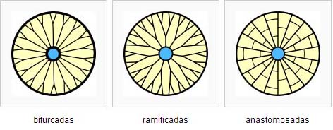 Diferencias_en_las_lminas04