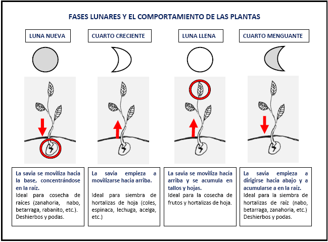 Imagen1