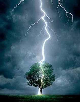 tormentas-rayo-arbol